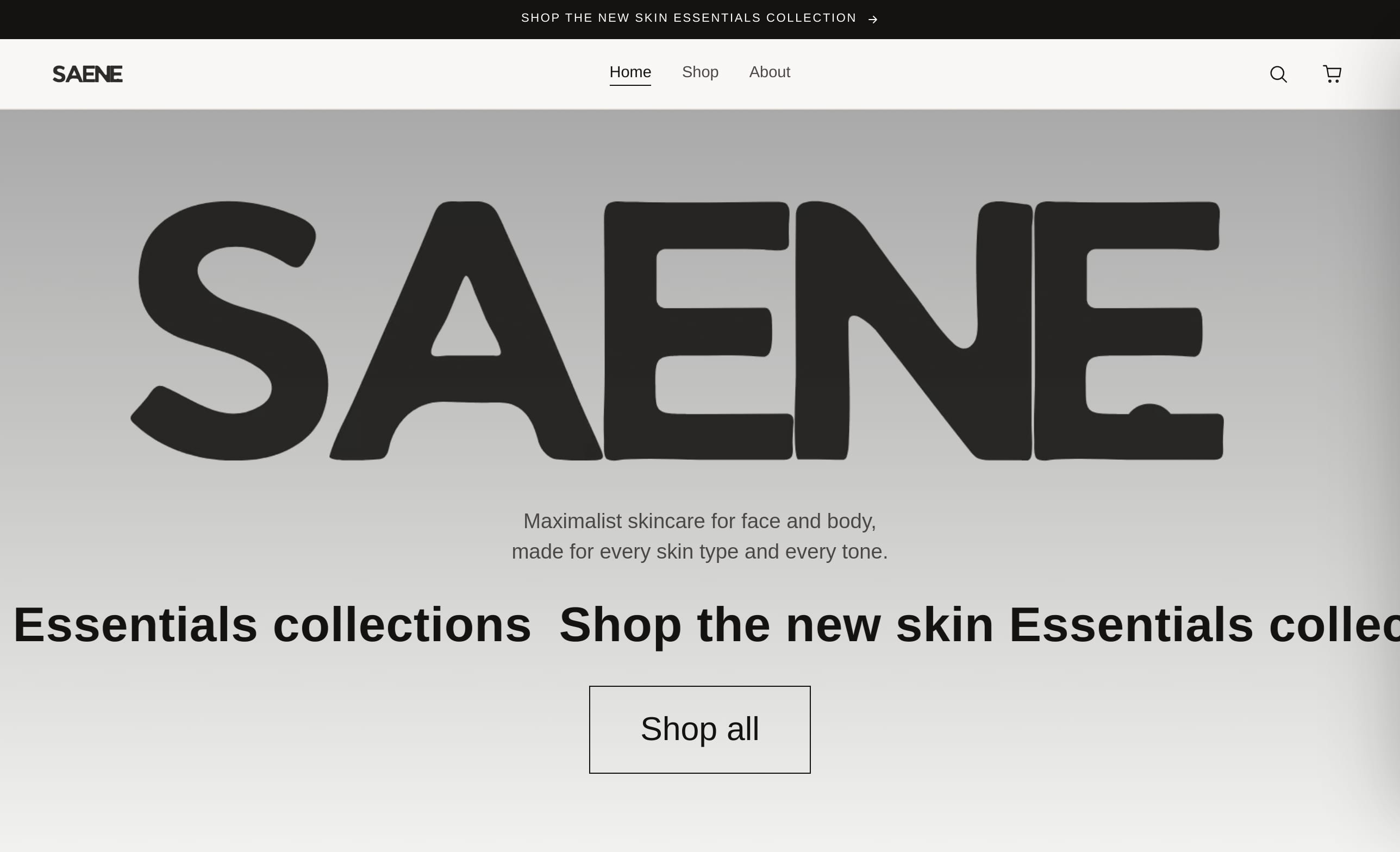 De webshop die wij voor SAENE bouwden